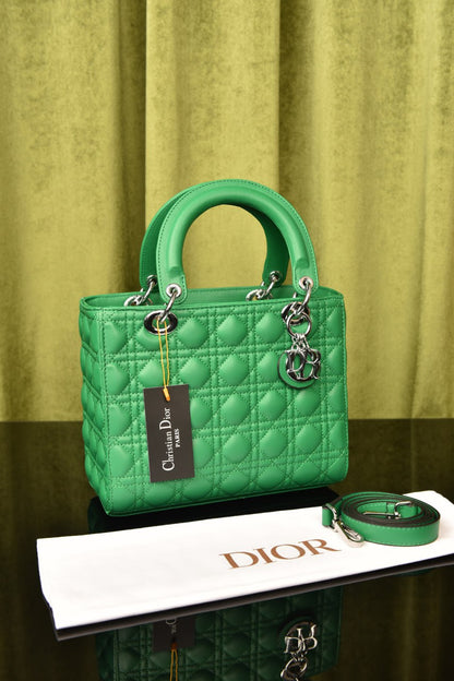 Lady Dl0r Bag (5 Color)